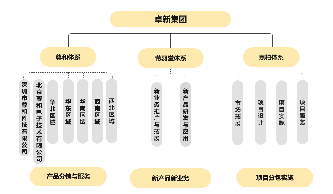 卓新架构2025.png